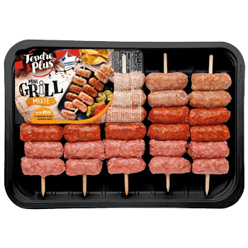 Mini grill mixte